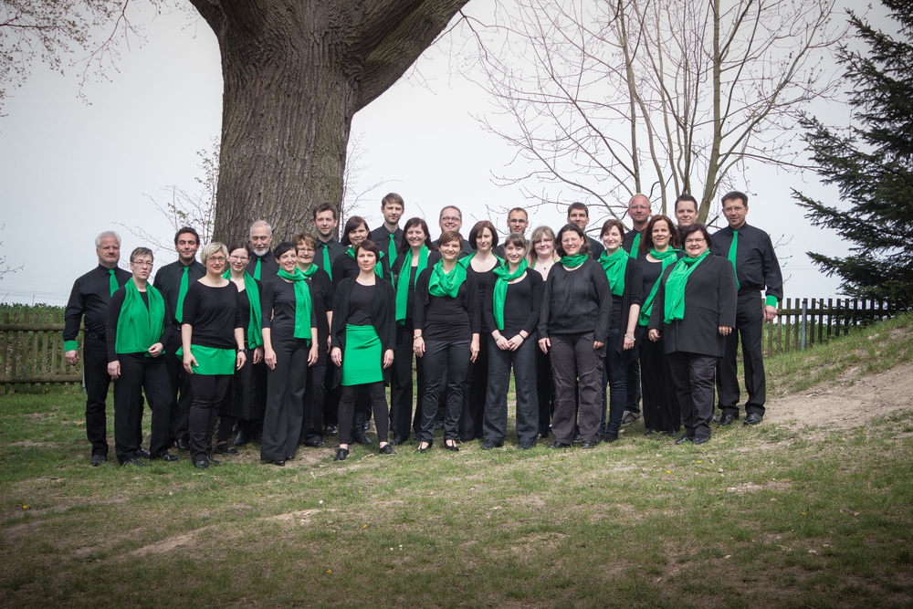 Chorfoto Kammerchor Chemnitz steht vor Baum: Chor ist schwarz-grün gekleidet